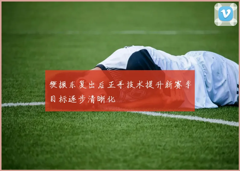 樊振东复出后正手技术提升新赛季目标逐步清晰化