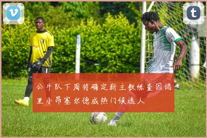 公牛队下周将确定新主教练奎因诺里小昂塞尔德成热门候选人